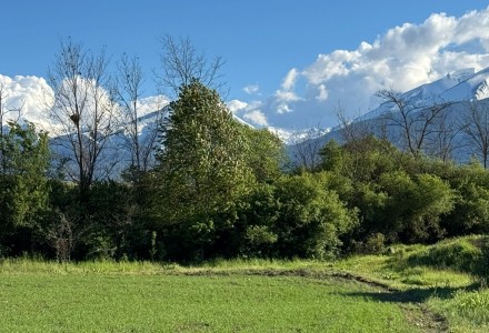 Plot in regulation 1719 sq.m, industrial zone, Razlog
