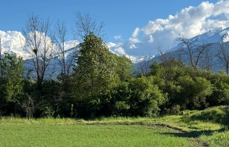 Plot in regulation 1719 sq.m., industrial zone, Razlog