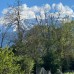 Plot in regulation 1719 sq.m., industrial zone, Razlog