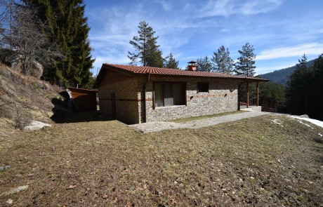 Luxury house 200 sq.m in the forest near Bansko