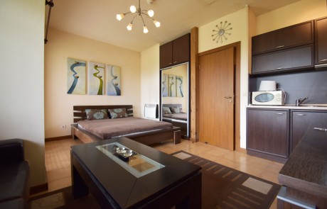 Furnished studio for sale with a balcony, Bansko
