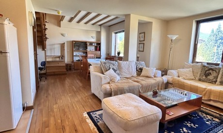 Great furnished multi-room apartment with storage room in a residential building, Bansko