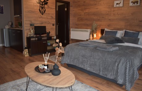 Luxury furnished studio apartment in 4* complex, Bansko