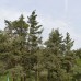 Трехкомнатная люксовая квартира в Косара, Банско