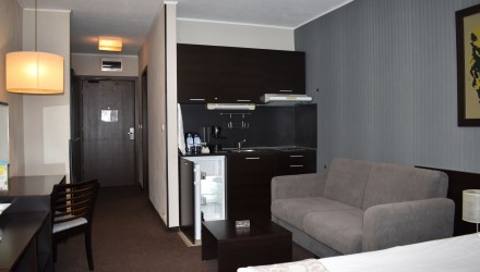 Страхотно обзаведено студио Лъки Банско 5*, Банско