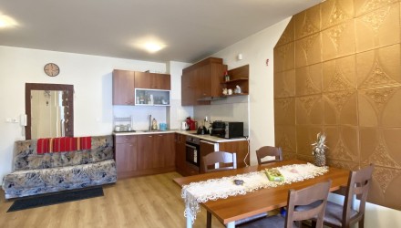 Furnished one bedroom apartment with a fireplace FOR RENT, the New Inn, Bansko