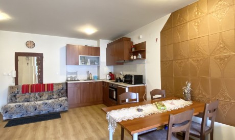 Furnished one bedroom apartment with a fireplace FOR RENT, the New Inn, Bansko