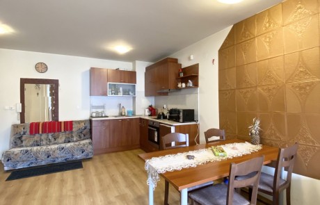 Furnished one bedroom apartment with a fireplace FOR RENT, the New Inn, Bansko