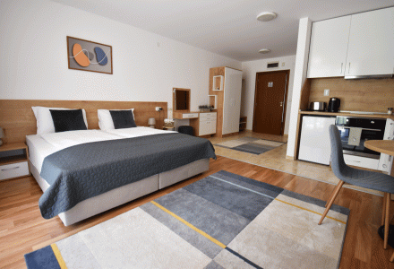 Large furnished studio with contemporary design, ski area Bansko