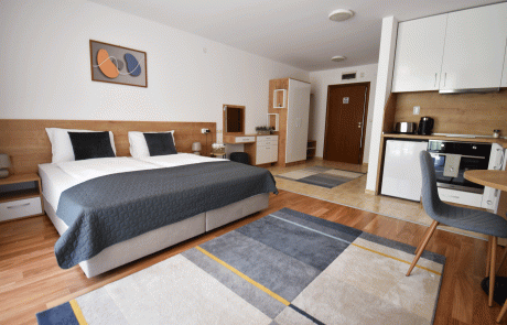 Large furnished studio with contemporary design, ski area Bansko