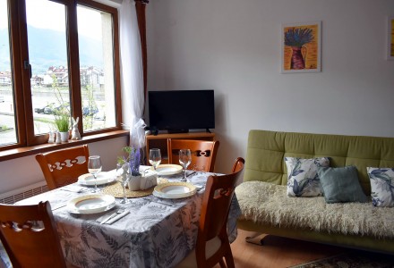 One bedroom apartment for rent in Bansko