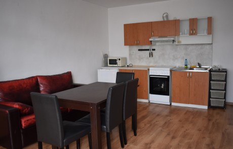 Двустаен апартамент в санирана жилищна сграда, Банско