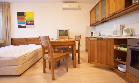 Great furnished studio with a fireplace, Sveti Ivan area, Bansko