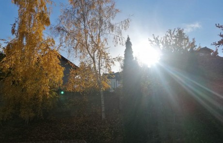 Двуспален апартамент в жилищна сграда