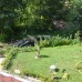 Trout farm and holiday homes for sale