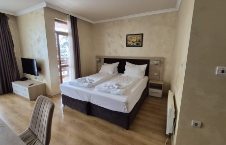 Просторно обзаведено студио на 10 минути от ски пистите в Банско