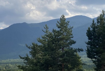 Парцел в регулация, 971 кв.м., м. Бойков рид
