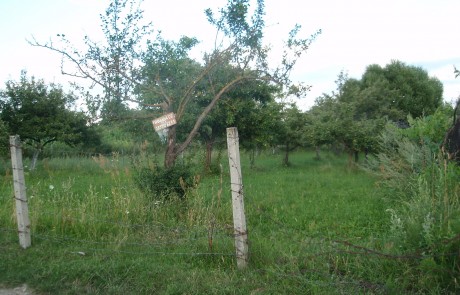 Земя в регулация за продажба в с. Добърско